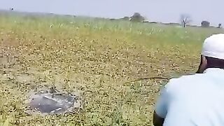 Catching Fish