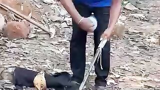 Catching Snake