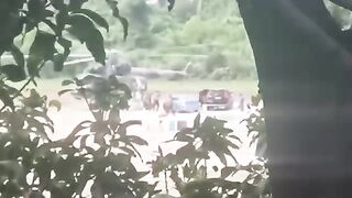 শেখ হাসিনার পালানোর ভিডিও