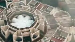 এটা শ্রীলঙ্ক না ভাই এটা আমার সোনার বাংলাদেশ