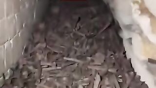 গণভবন এর আয়না ঘর