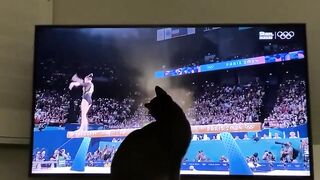 Котейка 2