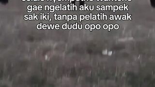 pelatih silat