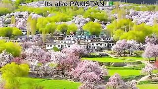 Beautiful pakistan 7