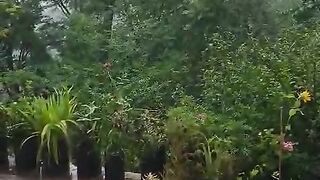 Weather in Kashmir