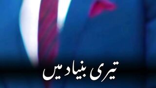 پاکستان زندہ باد 3