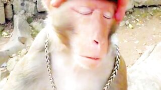 Nice video 226