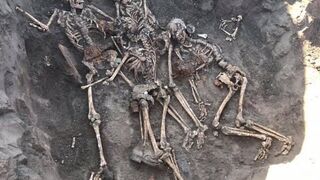 Finding The Fallen: A Lifelong Mission To Recover Bodies In Ukraine
