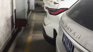 Ce chat errant se comporte très bien, sachant qu'il peut manger d