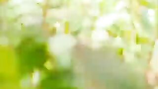 Quran 334