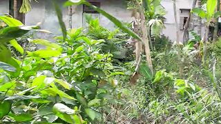 The green 2