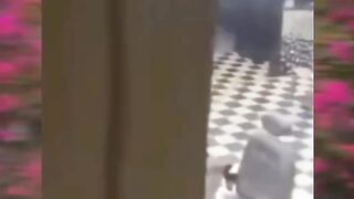 Funny   Hair ???? cutting