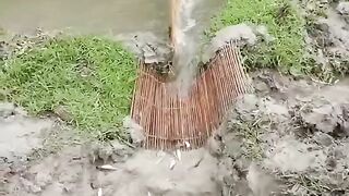 মাছ কিভাবে ধরে দেখুন কলেজের ছাত্রী