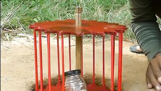 Create Amazing Trap - DIY Quail Trap