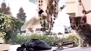 Fu'k you birb