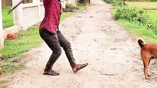 Funny momenta.pise dekho