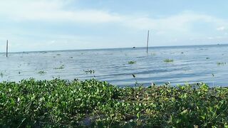 জীবনকে সুন্দর করতে হলে