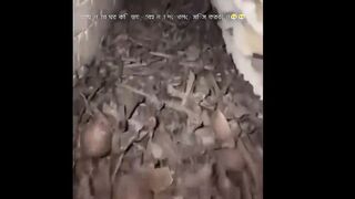 আয়নার ঘর দেখতে কি ভয়াবহ ভাইরাল হবে ইনশাআল্লাহ