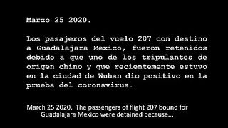 video 819
