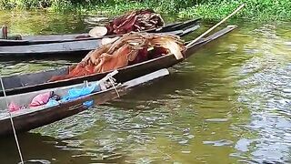 Hakaluki has a very nice breeze and species of fish