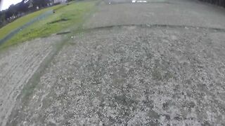 Natural View 2