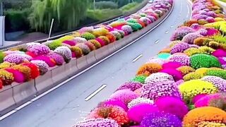 So beautiful recite