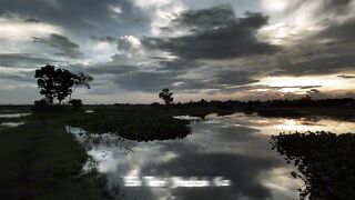 NATURE BEAUTY × SAD SONG