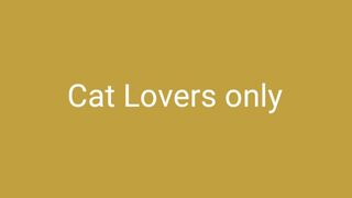 ZB-33  Rubby & Kentrip  #Shortvideo #febspot #Catlovers