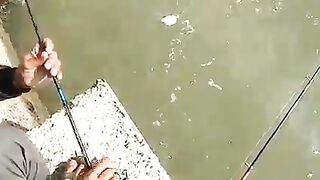 Fishing 49