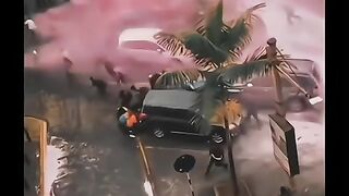 আমার ভাইয়ের রক্ত আমার বোনের রক্ত বৃথা যেতে দেব না