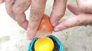 Egg experiment