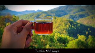 When you a tea lovers