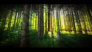 Nature love 11
