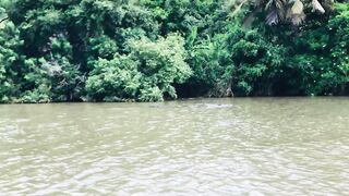 Crocodilo gigante