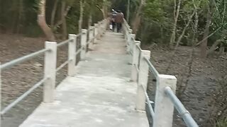 The View of Sundarban Bangladesh.