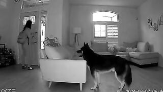 Wait . What ?