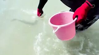 |Must Catch Fish|