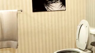 skibidi toilet 68