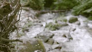 waterfoll