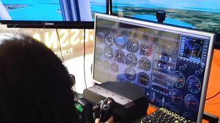 Flight simulator
