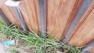 They should put a warning sign on that door