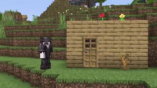 Minecraft build something