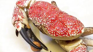 Delecious Food