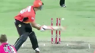 Cricket 114