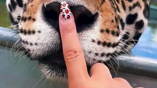 My last word would be ‘boop’….