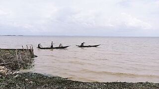 The boat
