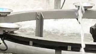 MUSICAL Dancing Water