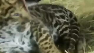 Семья и любовь ❤️
