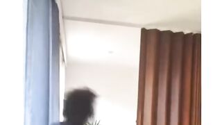 Cats Drifting Footage when they are running with full force