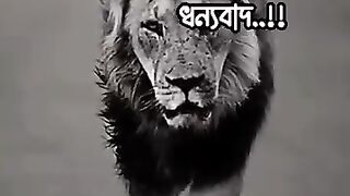 একা চলতে শিখুন